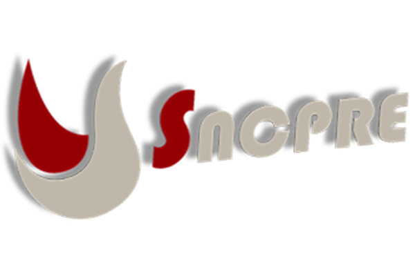 Syndicat National de Chirurgie Plastique Reconstructrice et Esthétique (SNCPRE)